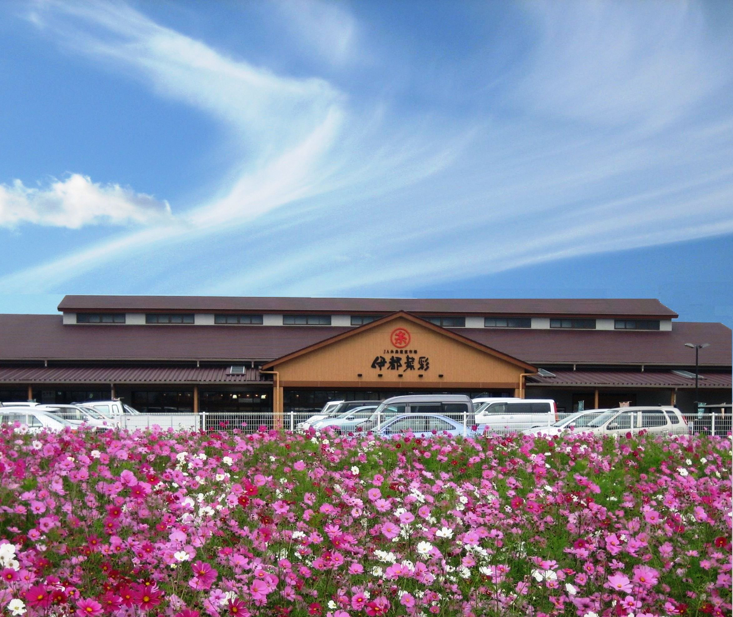 JA糸島 伊都菜彩